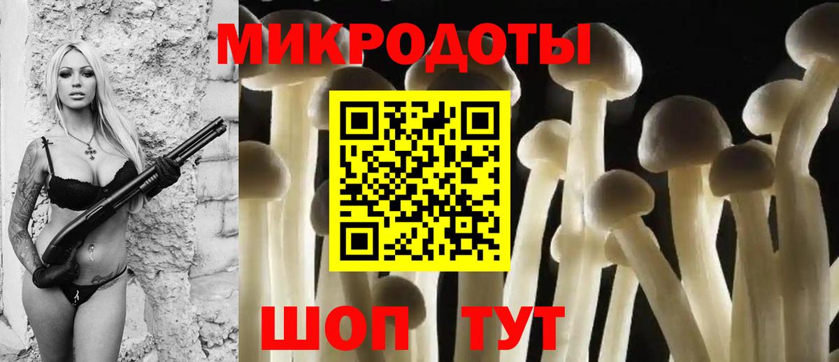 Псилоцибиновые грибы MAGIC MUSHROOMS  Вход с VPN  Биробиджан 